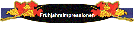 Frhjahrsimpressionen
