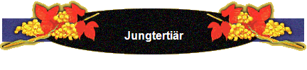 Jungtertir