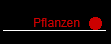 Pflanzen
